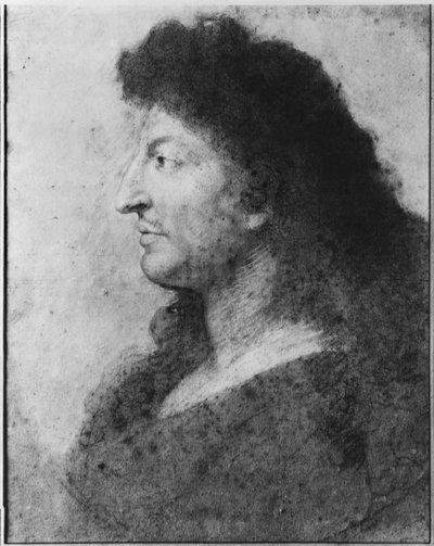 Porträt von Ludwig XIV. im Profil, mit nacktem Hals und langen Haaren, ca. 1678 von Charles Le Brun